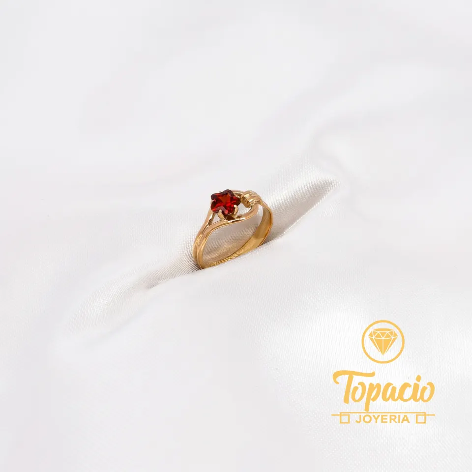 Anillo Cinturón con Flor 18K