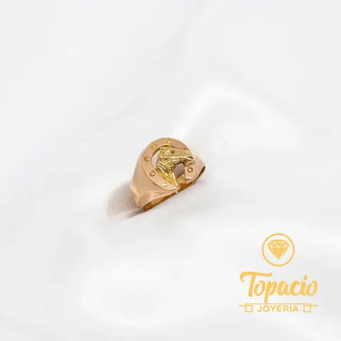 Anillo Herradura 18K