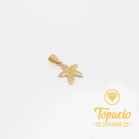 Dije Estrella de Mar 18K