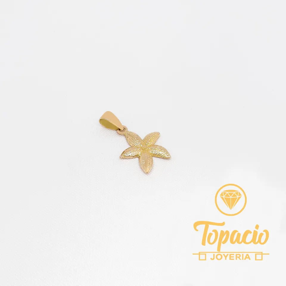 Dije Estrella de Mar 18K