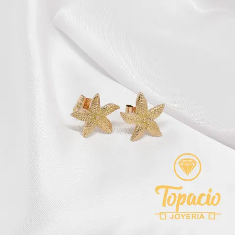 Arete Estrella de Mar 18K