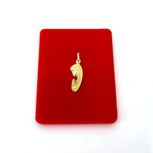 Dije Virgen en Oración en Oro 18k