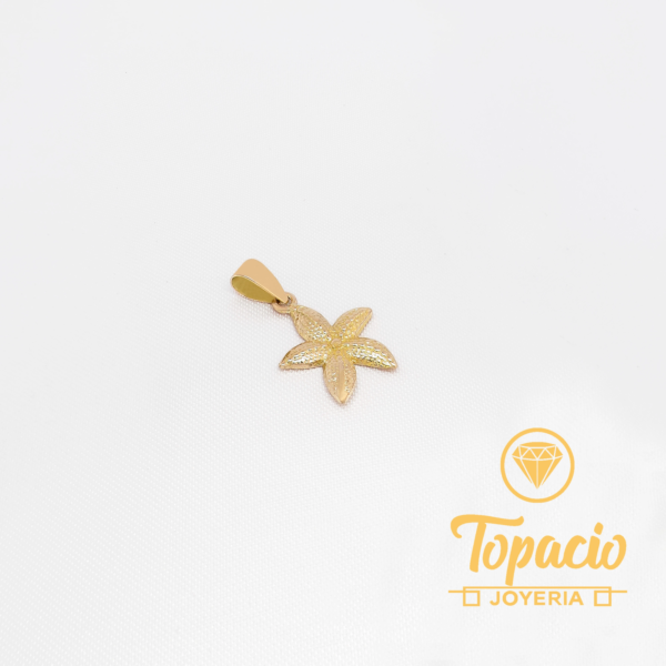 Dije Estrella de Mar 18K