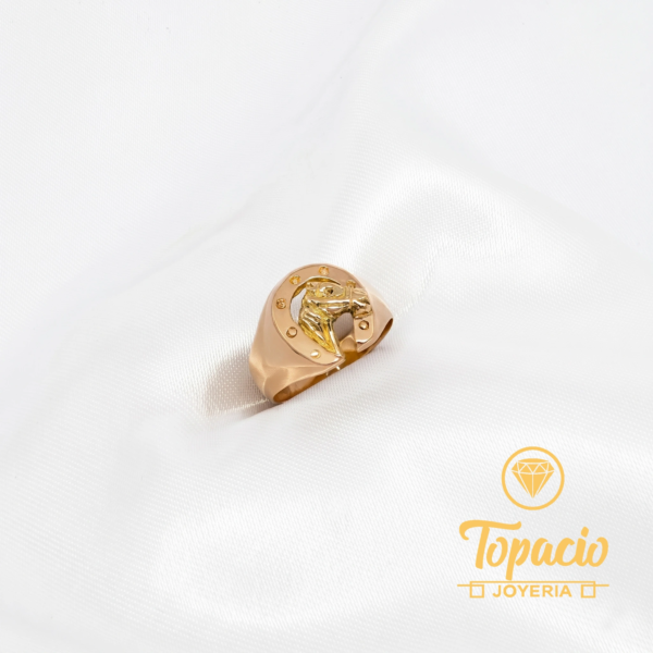 Anillo Herradura 18K