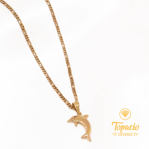 Cadena Cartier con Dije Delfin 18K